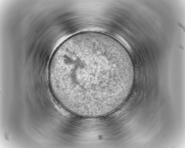 X0000093251044200710241310