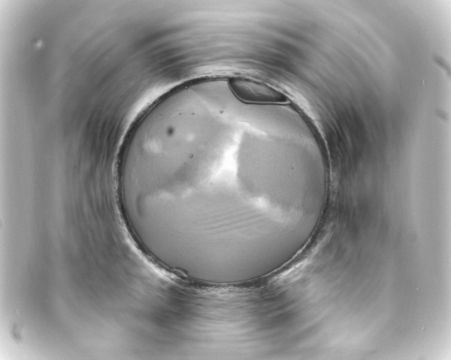 X0000093251045200710241310