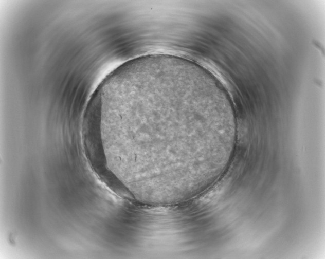 X0000093251048200710241311