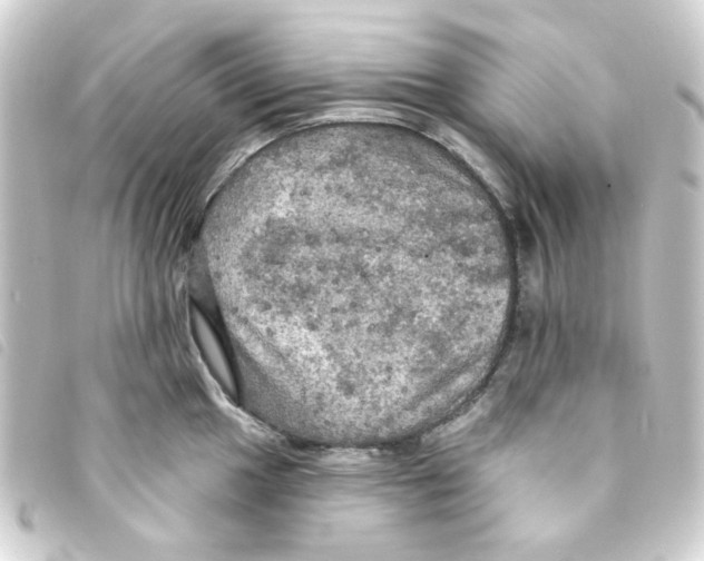 X0000093251049200710241311