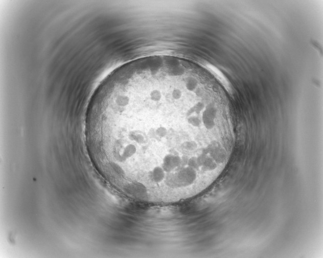 X0000093251051200710241311