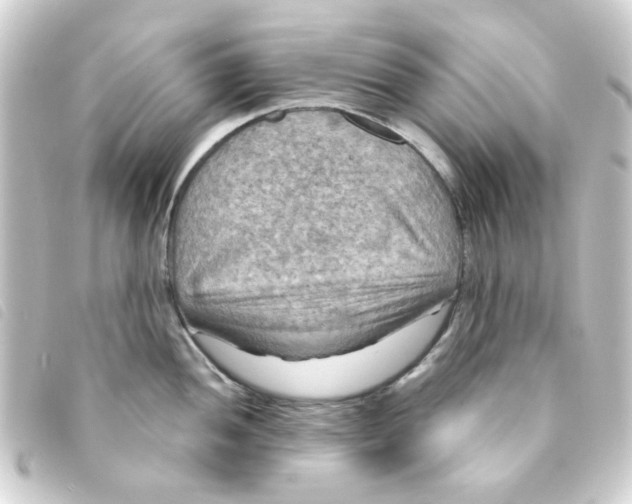 X0000093251052200710241311