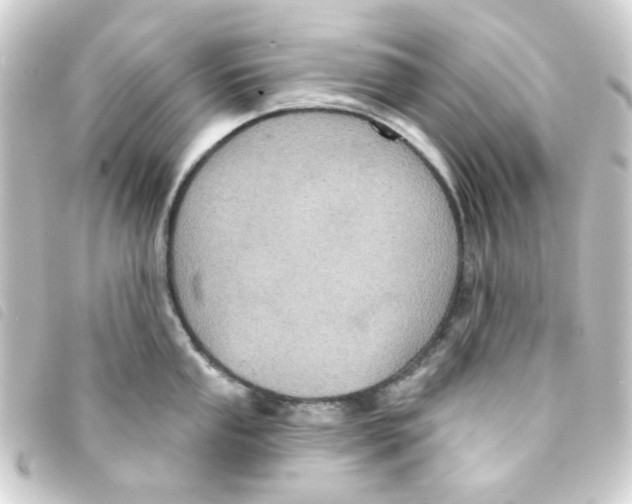 X0000093251053200710241311