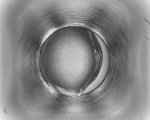 X0000093251054200710241311