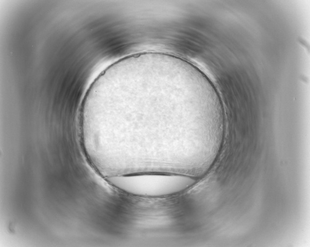 X0000093251056200710241311