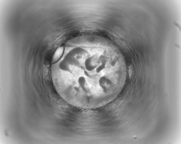 X0000093251059200710241310