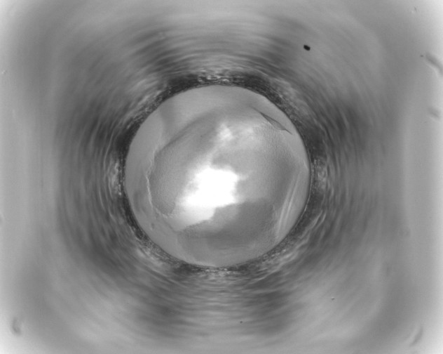 X0000093251060200710241310