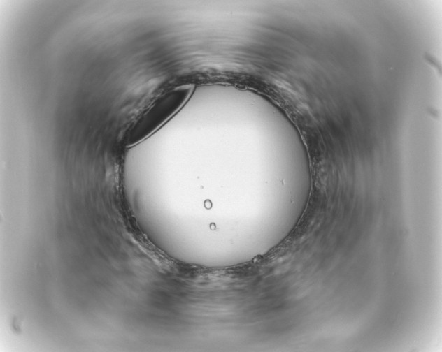 X0000093251061200710241310