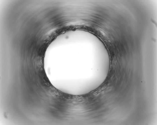 X0000093251062200710241310