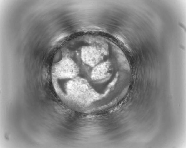 X0000093251063200710241310