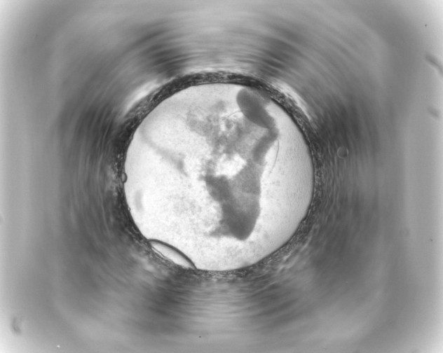 X0000093251064200710241310