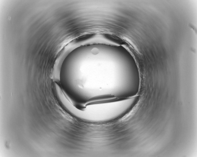 X0000093251065200710241310