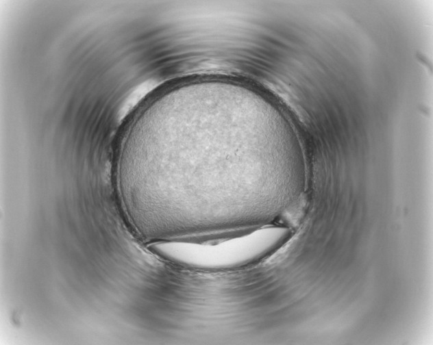 X0000093251066200710241310