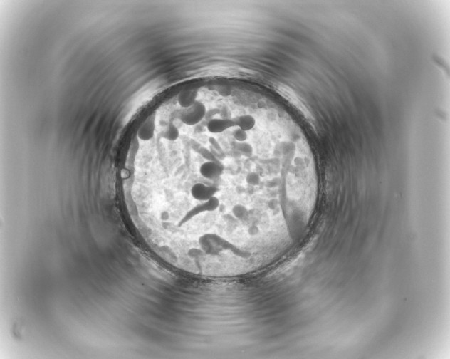 X0000093251067200710241310