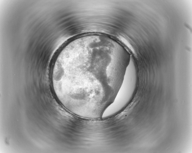 X0000093251068200710241310