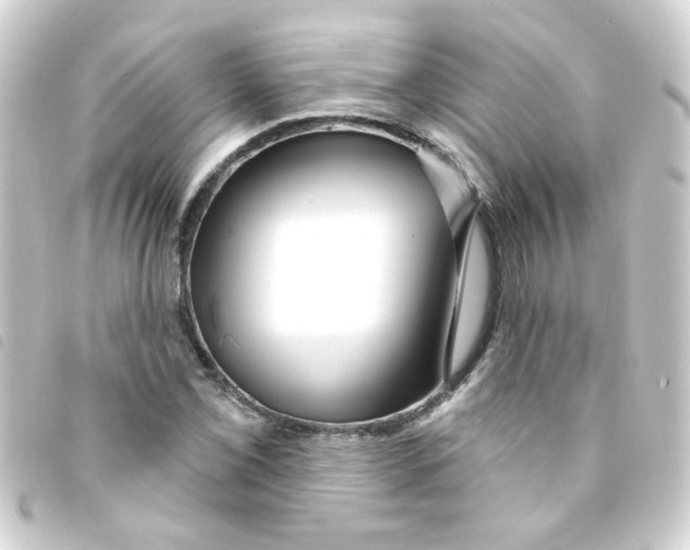 X0000093251069200710241310