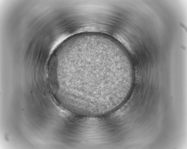 X0000093251070200710241310