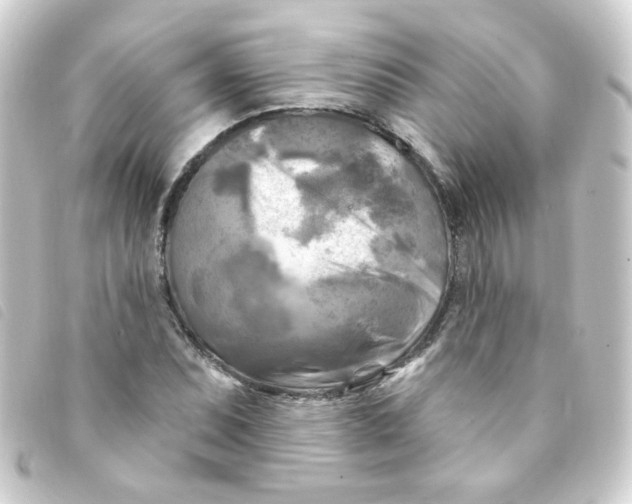 X0000093251071200710241310