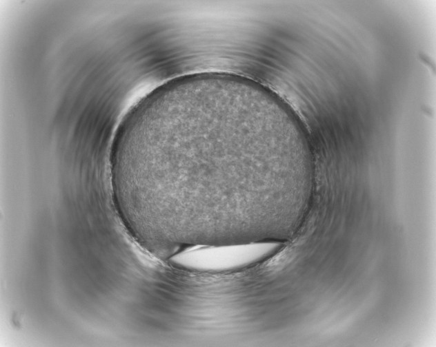 X0000093251072200710241310