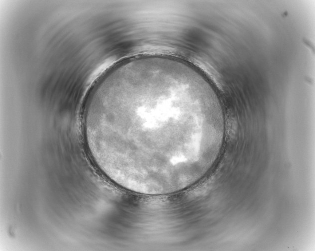 X0000093251074200710241310