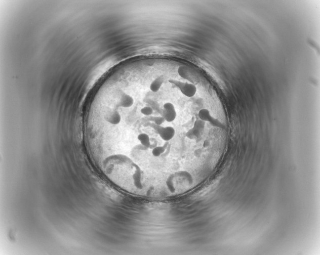 X0000093251075200710241310