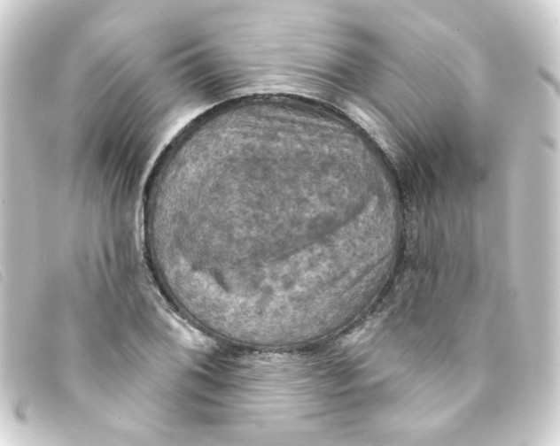 X0000093251076200710241310