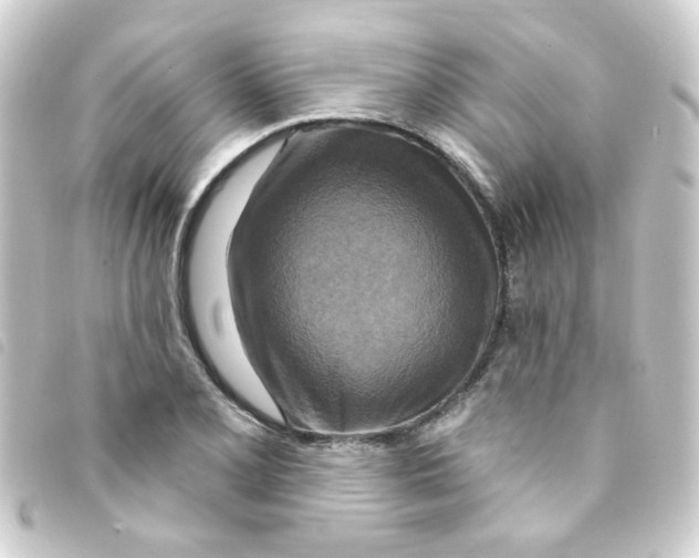 X0000093251077200710241310