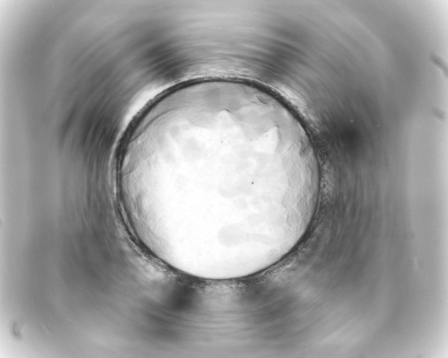 X0000093251078200710241310