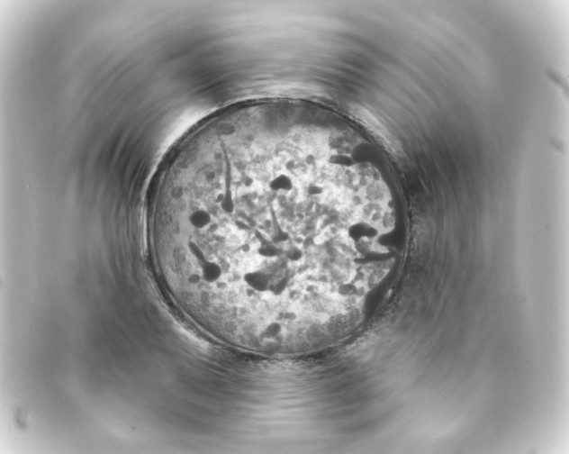 X0000093251079200710241310