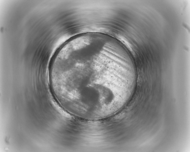 X0000093251080200710241310