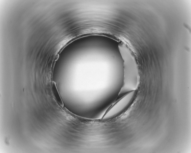 X0000093251081200710241310