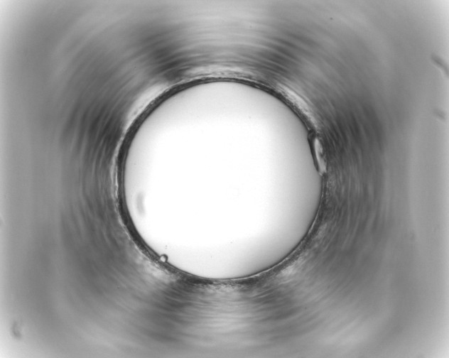 X0000093251082200710241310