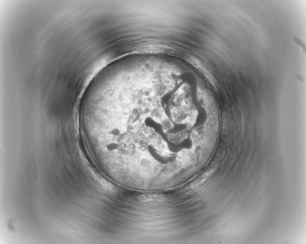 X0000093251083200710241310