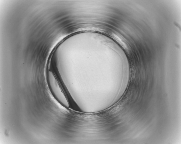 X0000093251084200710241310