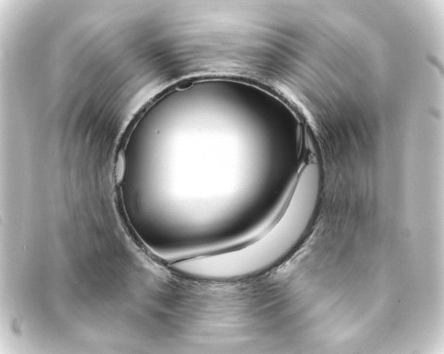 X0000093251085200710241310