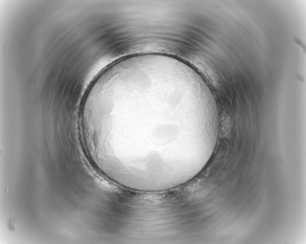 X0000093251086200710241310