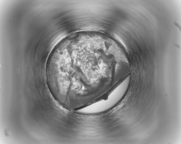 X0000093251087200710241310