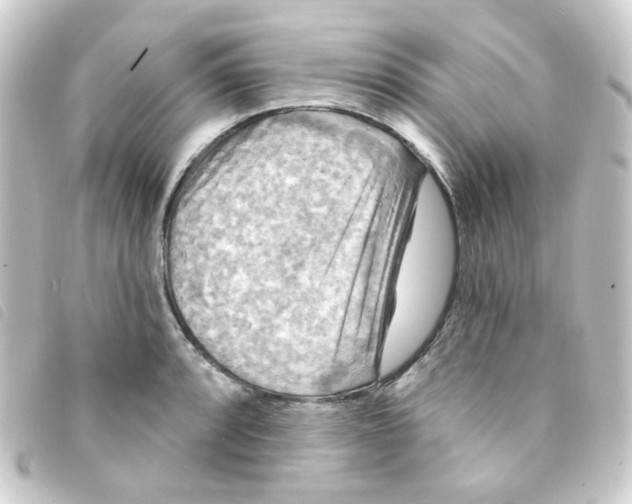 X0000093251088200710241310