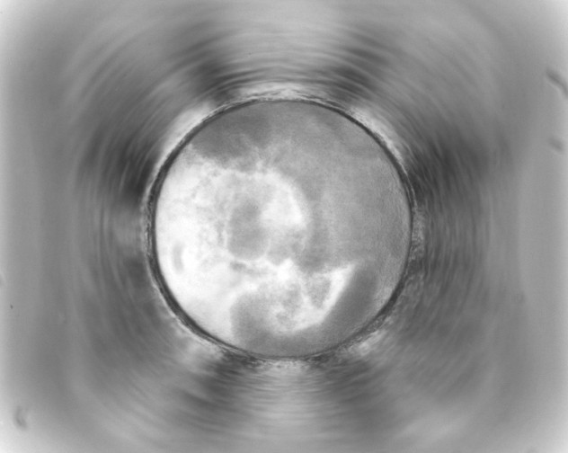 X0000093251090200710241310