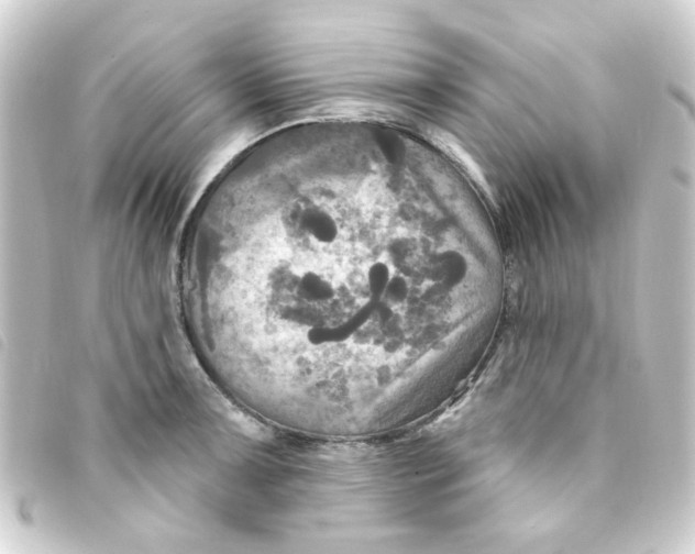 X0000093251091200710241310