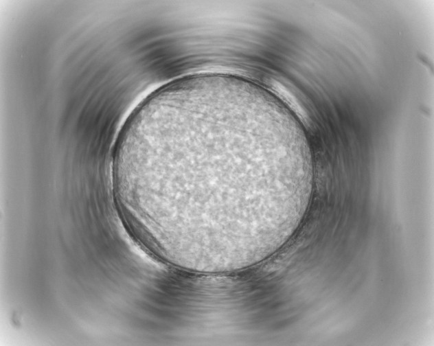 X0000093251092200710241310