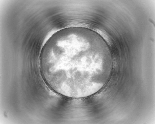 X0000093251094200710241310