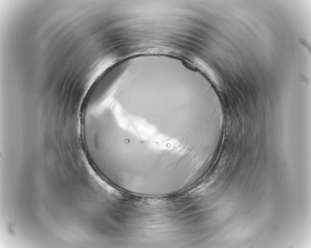 X0000093251095200710241310