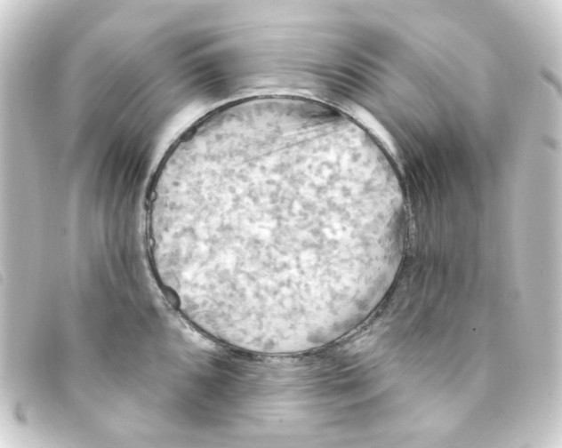 X0000093251096200710241310