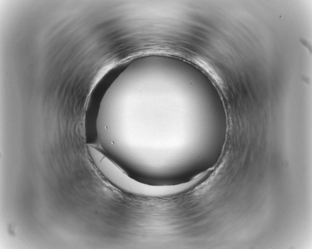 X0000093251097200710241310