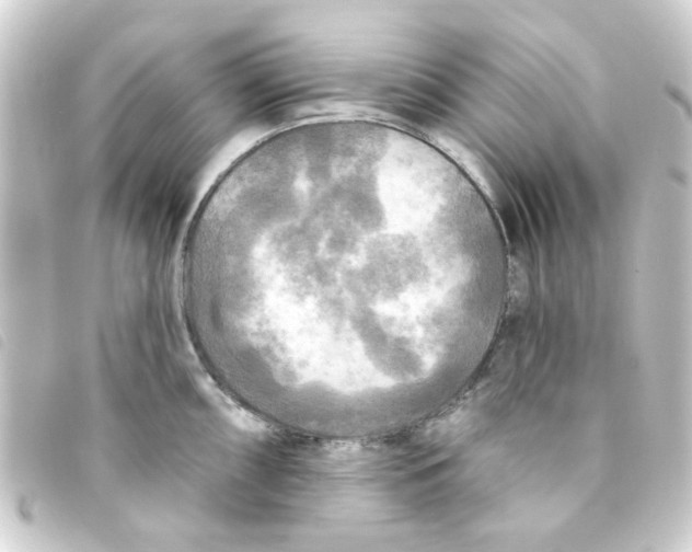 X0000093251098200710241310