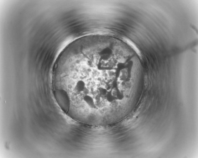 X0000093251099200710241310