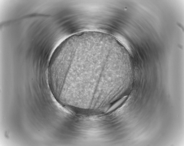 X0000093251100200710241310