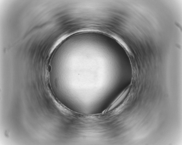 X0000093251101200710241310