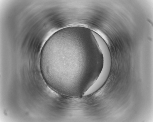 X0000093251102200710241310